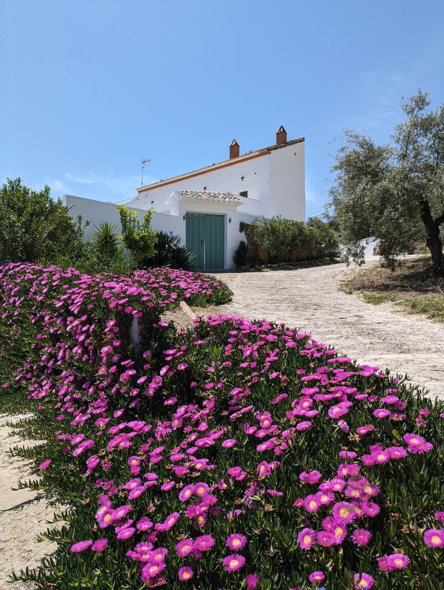Casa Las Majadillas Iznajar Bagian luar foto